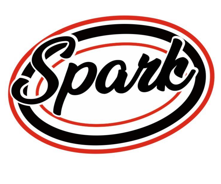 Logo Spark Multi Service
